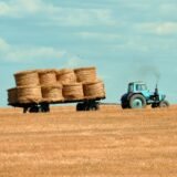 brown hay on tractor under white and blue sky during daytime